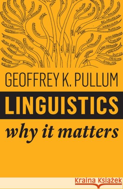 Linguistics: Why It Matters Geoffrey Pullum 9781509530755 Polity Press - książka