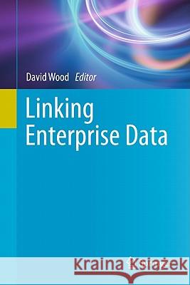 Linking Enterprise Data David Wood 9781441976642 Not Avail - książka
