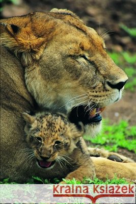 Lion Drawing Book Kumar, Uday 9798420021323 Independently published - książka