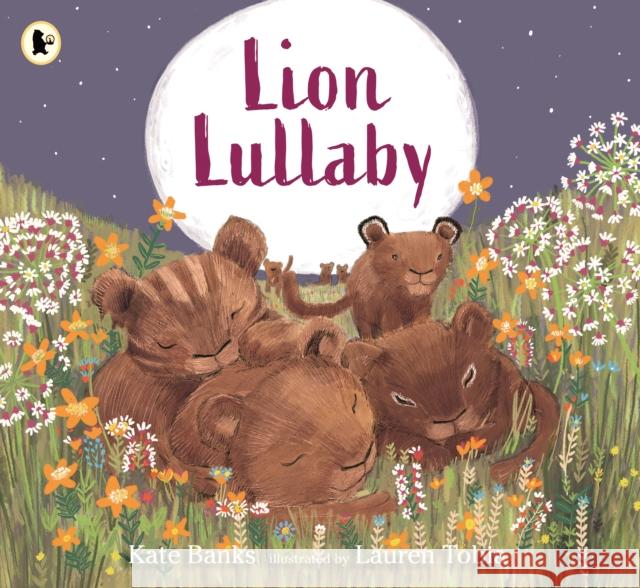 Lion Lullaby Noah Builds An Ark Kate Banks 9781529516517 Walker Books Ltd - książka