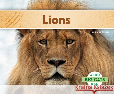 Lions Claire Archer 9781629700045 Abdo Kids - książka