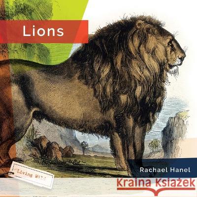 Lions Rachael Hanel 9781682771594 Creative Paperbacks - książka