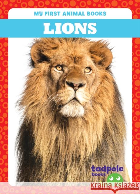 Lions Natalie Deniston 9798889965770 Tadpole Books - książka