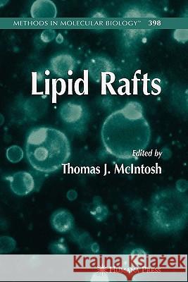 Lipid Rafts Thomas J. McIntosh 9781617377440 Springer - książka