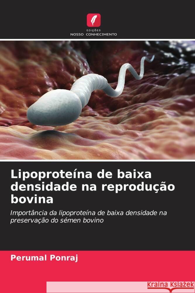 Lipoprote?na de baixa densidade na reprodu??o bovina Perumal Ponraj 9786208054182 Edicoes Nosso Conhecimento - książka