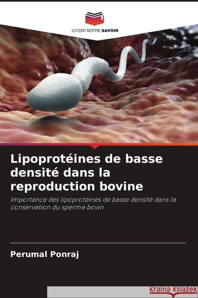 Lipoprot?ines de basse densit? dans la reproduction bovine Perumal Ponraj 9786208054151 Editions Notre Savoir - książka