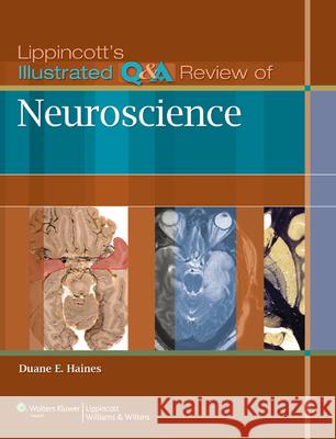 Lippincott's Illustrated Q&A Review of Neuroscience Duane Haines 9781605478227  - książka