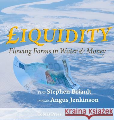 Liquidity: Flowing Forms in Water and Money Stephen Briault Angus Jenkinson Angus Jenkinson 9780955536236 Tobias Press - książka