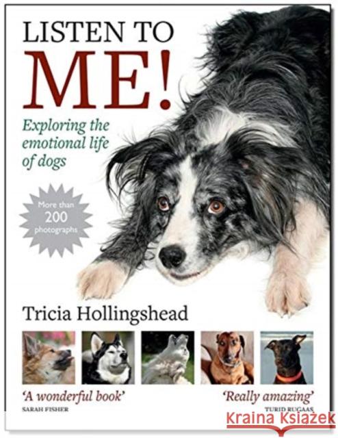 Listen To Me!: Exploring the emotional life of dogs Patricia Hollingshead 9781910488553 First Stone Publishing - książka