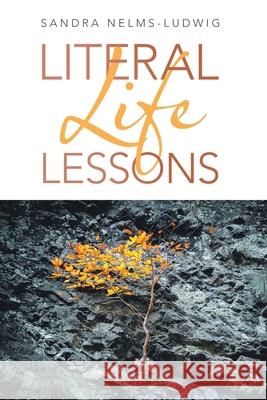 Literal Life Lessons Sandra Nelms-Ludwig 9781489735720 Liferich - książka