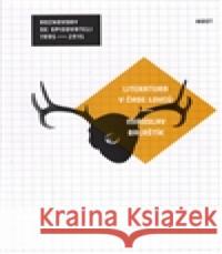 Literatura v čase lovců Miroslav Balaštík 9788074914089 Host - książka