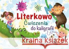 Literkowo. Ćwiczenia do kaligrafii Wydawnictwo NIKO 9788366565050 Niko - książka