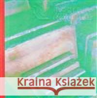 Litografie Říční Vojtěch Liebl 9788087407554 PositiF - książka