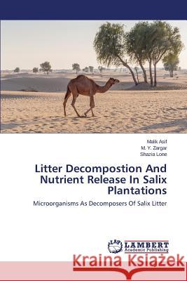 Litter Decompostion And Nutrient Release In Salix Plantations Asif Malik 9783659277153 LAP Lambert Academic Publishing - książka