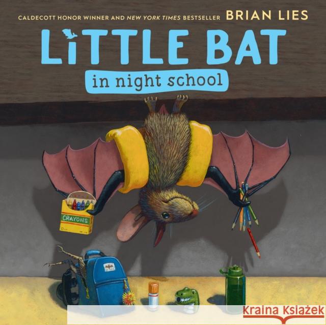 Little Bat in Night School Brian Lies 9780358269847 HarperCollins Publishers Inc - książka