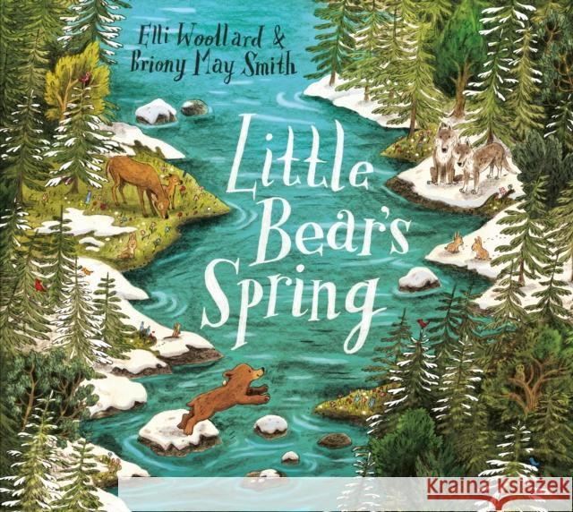 Little Bear's Spring Elli Woollard Briony May Smith  9781509807901 Pan Macmillan - książka