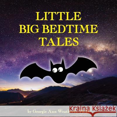 Little Big Bedtime Tales Georgie Ann Weatherby 9781949231021 Yorkshire Publishing - książka