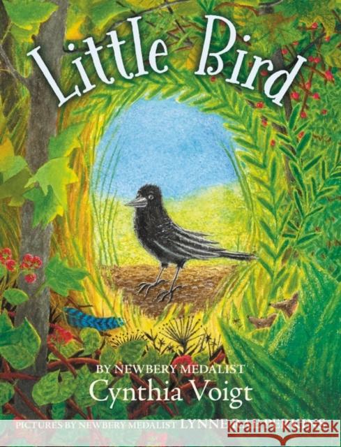 Little Bird Cynthia Voigt 9780062996909 HarperCollins - książka