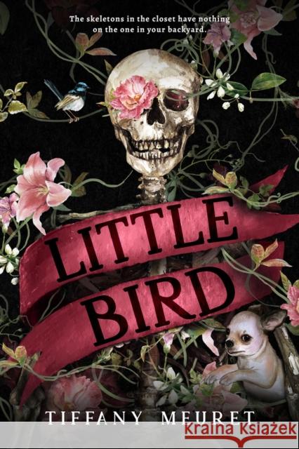 Little Bird Tiffany Meuret 9781645480617 Black Spot Books - książka
