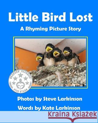 Little Bird Lost Steve Larkinson Kate Larkinson 9781492762829 Createspace - książka