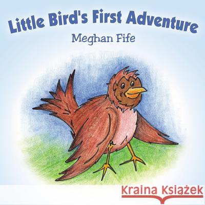 Little Bird's First Adventure Meghan Fife 9781420850710 Authorhouse - książka