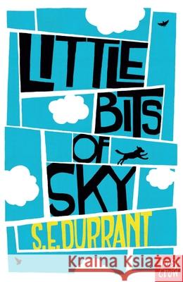 Little Bits of Sky S E Durrant 9780857633996 Nosy Crow Ltd - książka