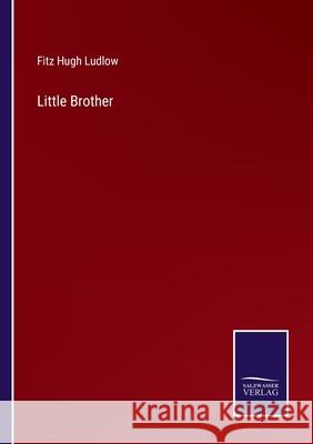 Little Brother Fitz Hugh Ludlow 9783752572827 Salzwasser-Verlag - książka