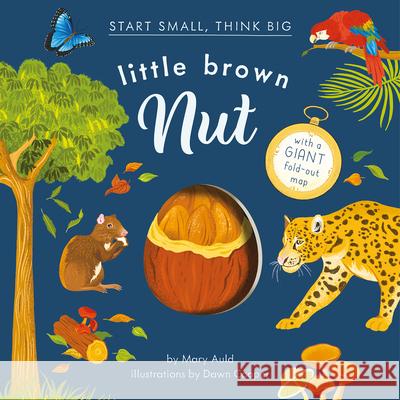 Little Brown Nut Mary Auld Dawn Cooper 9781636551050 Red Comet Press - książka