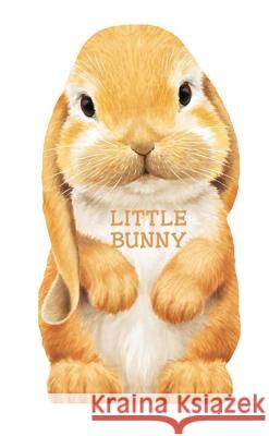 Little Bunny L. Rigo 9780764165092 Barron's Educational Series - książka
