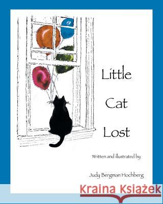 Little Cat Lost Judy Bergman Hochberg 9781732111561 SDP Publishing Solutions, LLC - książka