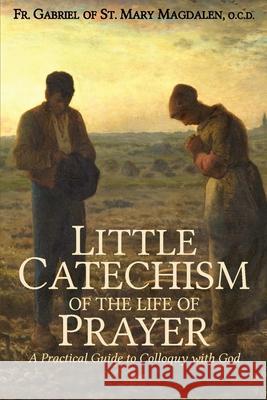 Little Catechism of the Life of Prayer Gabriel O 9781737123002 Joannes Press - książka