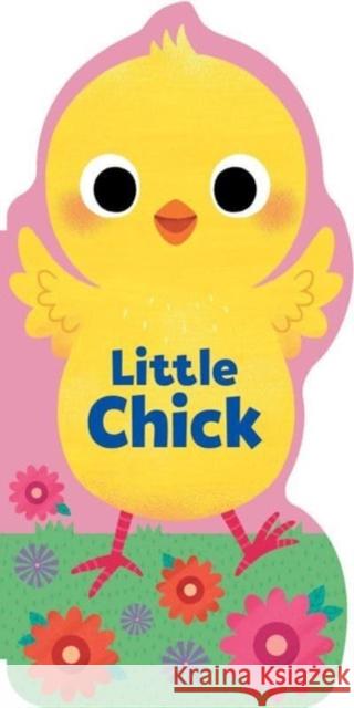 Little Chick Maggie Fischer 9781667206097 Silver Dolphin Books - książka