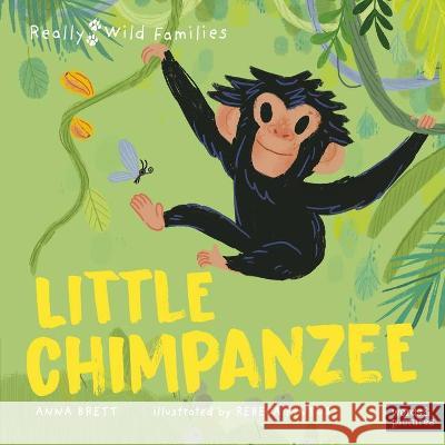 Little Chimpanzee: A Day in the Life of a Baby Chimp Anna Brett Rebeca Pintos 9780711283589 Words & Pictures - książka