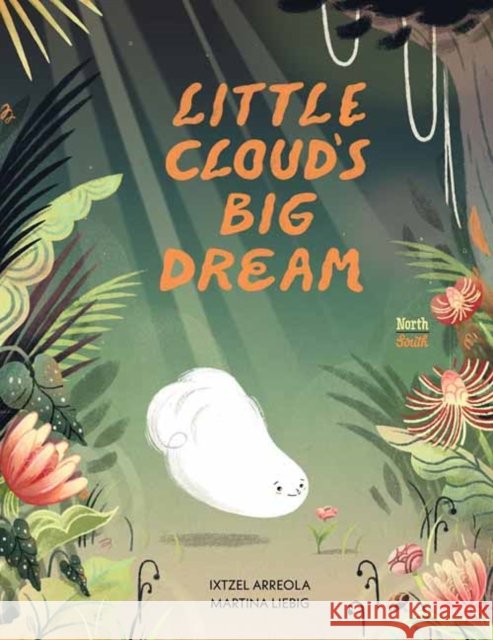 Little Cloud's Big Dream Martina Liebig 9780735845619 Northsouth Books - książka