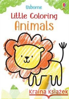 Little Coloring Animals Kirsteen Robson Jenny Brown 9781805070948 Usborne Books - książka