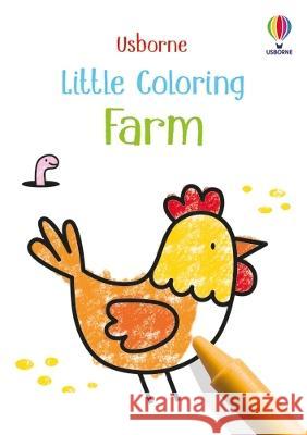 Little Coloring Farm Kate Nolan Jenny Brown 9781805070917 Usborne Books - książka