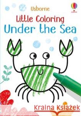 Little Coloring Under the Sea Kirsteen Robson Jenny Brown 9781805070962 Usborne Books - książka