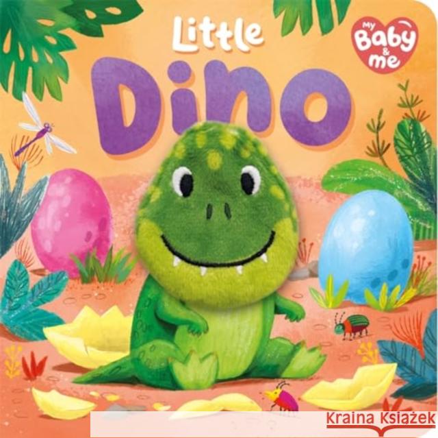 Little Dino Igloo Books 9781837954803 Bonnier Books Ltd - książka