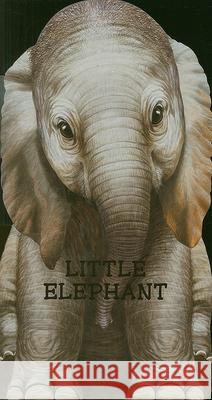 Little Elephant : Look at Me L. Rigo 9780764164262 Barron's Educational Series - książka