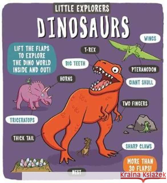 Little Explorers: Dinosaurs Dynamo Ltd. 9781783708154 Templar Publishing - książka