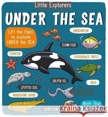 Little Explorers: Under the Sea Little Bee Books 9781499806953 Little Bee Books - książka