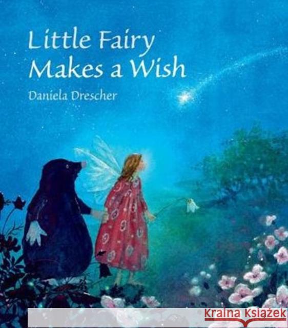 Little Fairy Makes a Wish Daniela Drescher 9781782502432 Floris Books - książka