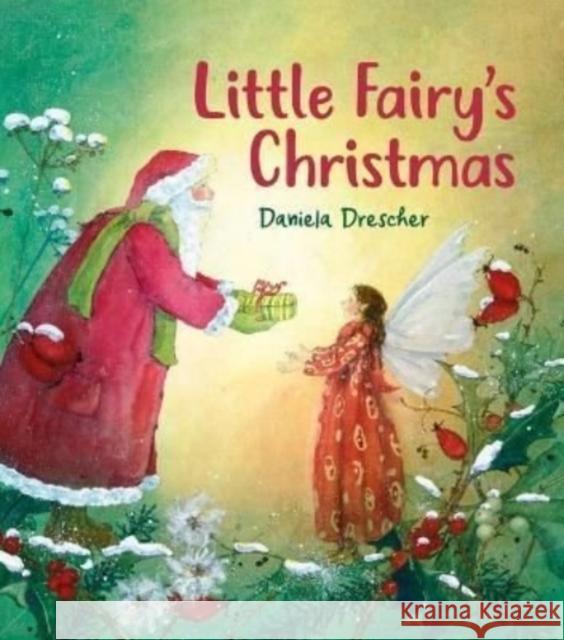 Little Fairy's Christmas Daniela Drescher 9781782508175 Floris Books - książka