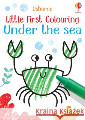 Little First Colouring Under the Sea Kirsteen Robson 9781474980579 Usborne Publishing Ltd - książka