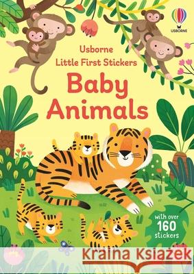 Little First Stickers Baby Animals Jane Bingham Elisa Ferro 9781835409664 Usborne Books - książka