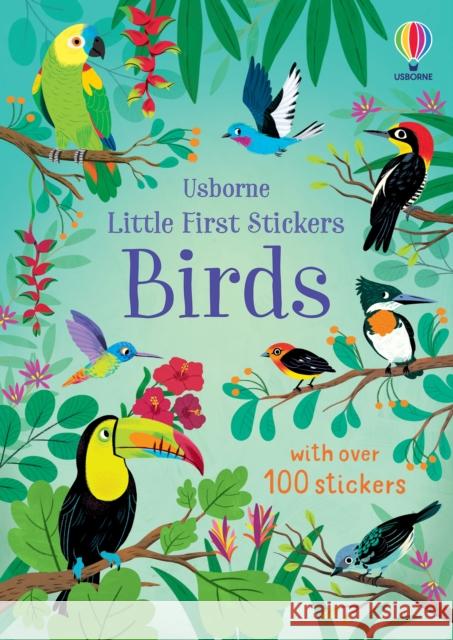 Little First Stickers Birds Jane Bingham 9781805312352 Usborne Publishing Ltd - książka