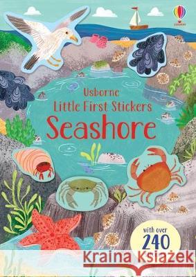 Little First Stickers Seashore Jessica Greenwell Stephanie Fize 9781805071013 Usborne Books - książka