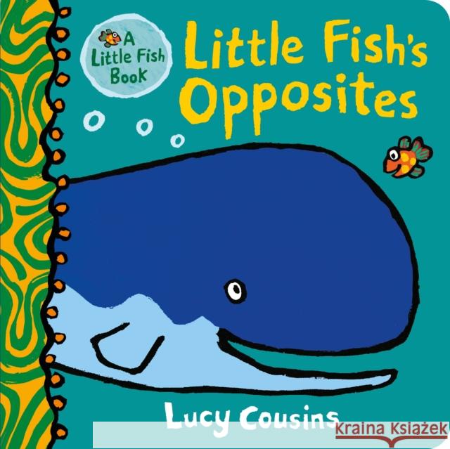 Little Fish's Opposites Lucy Cousins 9781529517637 Walker Books Ltd - książka