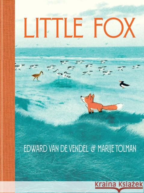 Little Fox Edward Va Marije Tolman 9781646140077 Levine Querido - książka