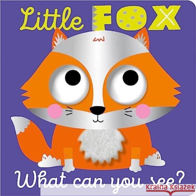 Little Fox What Can You See? Cara Jenkins 9781803371481 Make Believe Ideas - książka